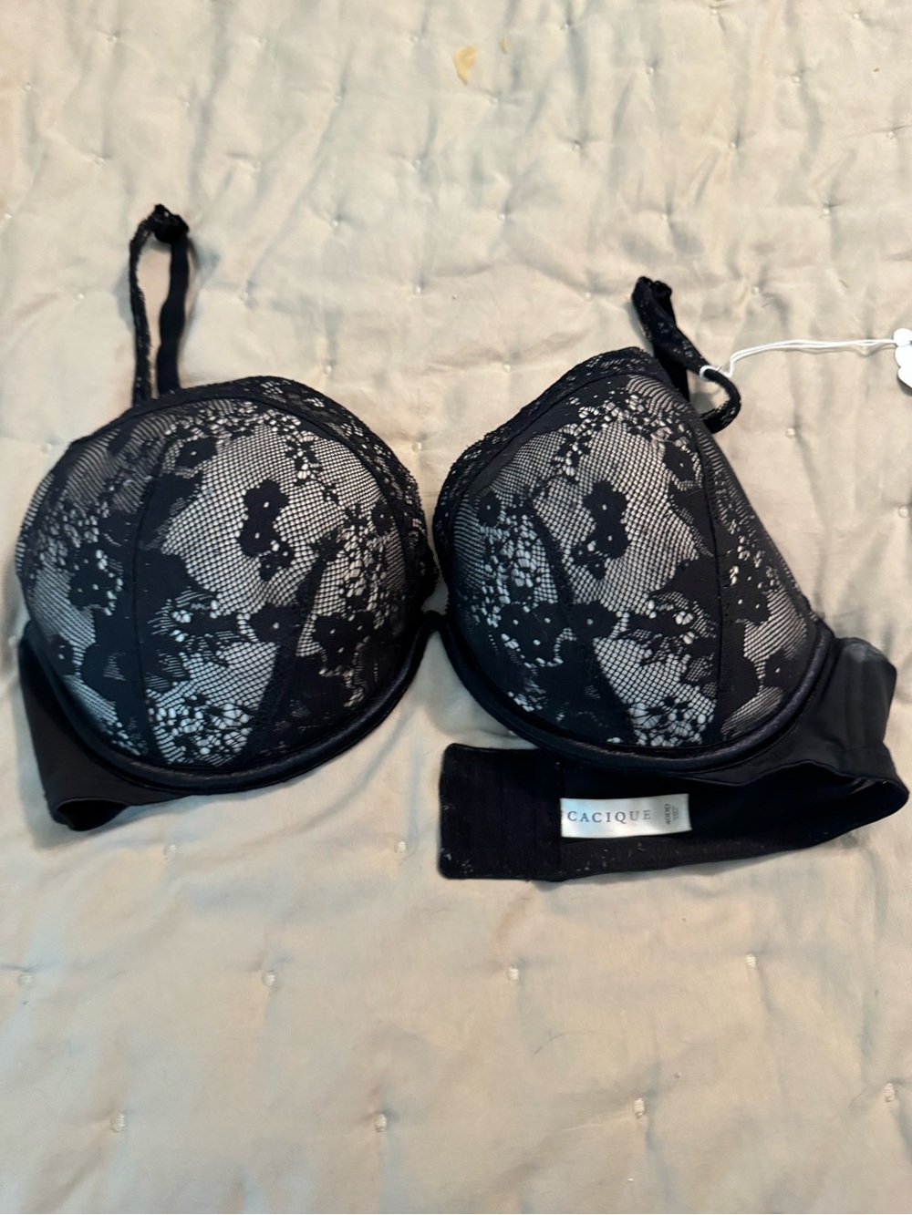 Cacique Black Lace Underwire Push-Up Bra